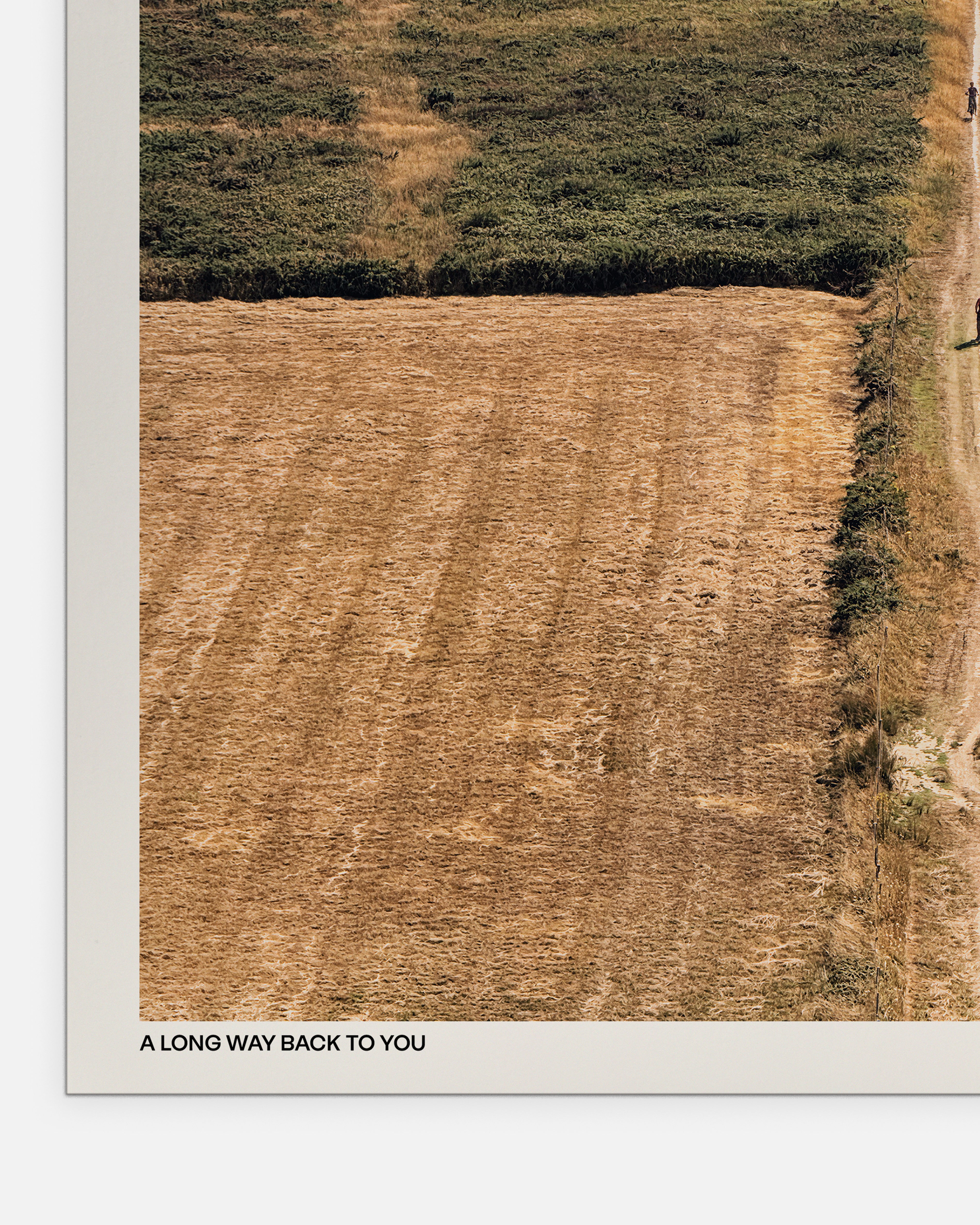 A Long Way Back to You