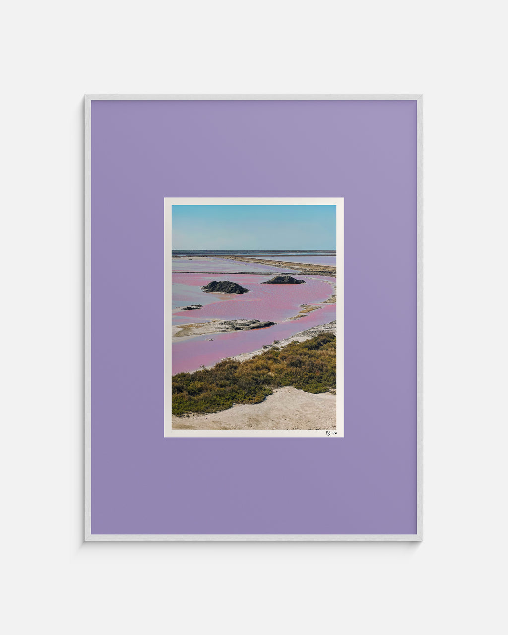 Dunaliella salina